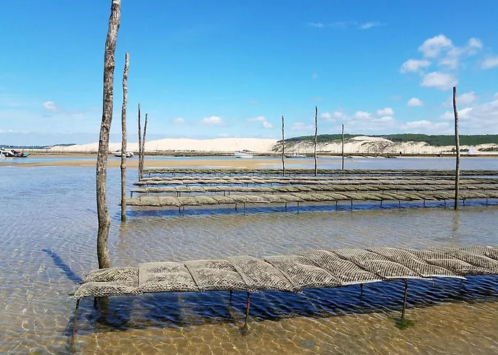 アパート Lumineux En Centre-ville Pour 4 Personnes - Fr-1-474-191 *